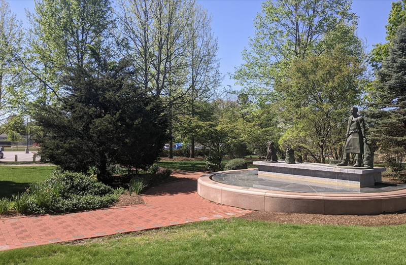 Library Garden