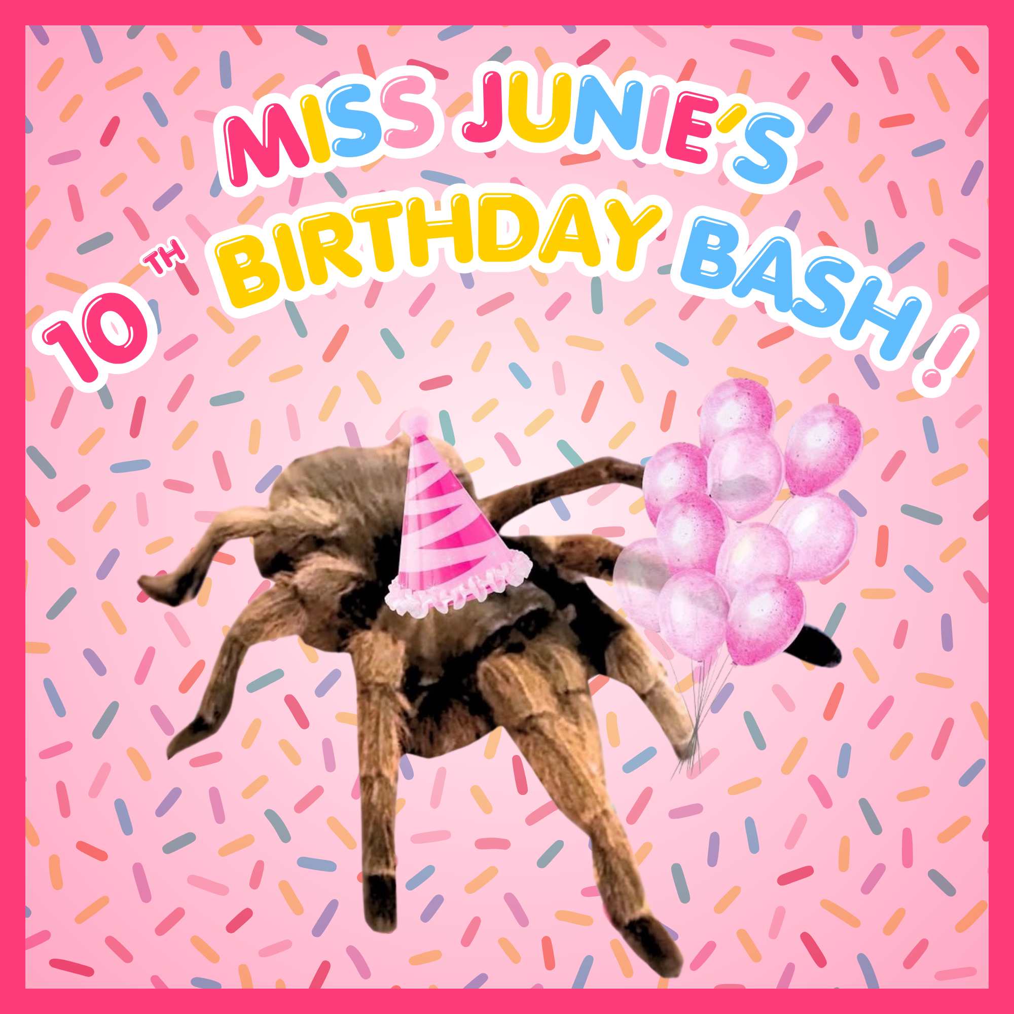 Photo of a Tarantual with a party hat and balloons