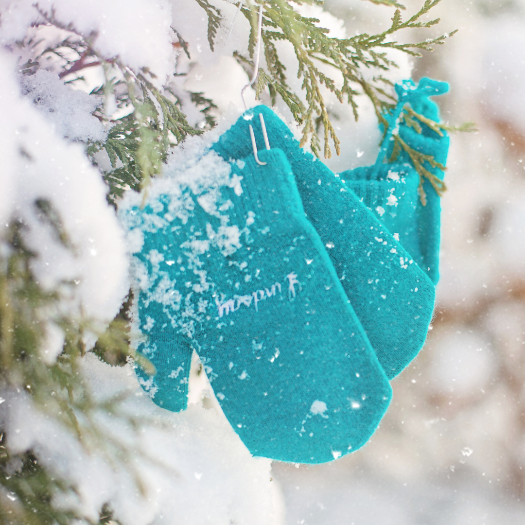 blue mittens in snow