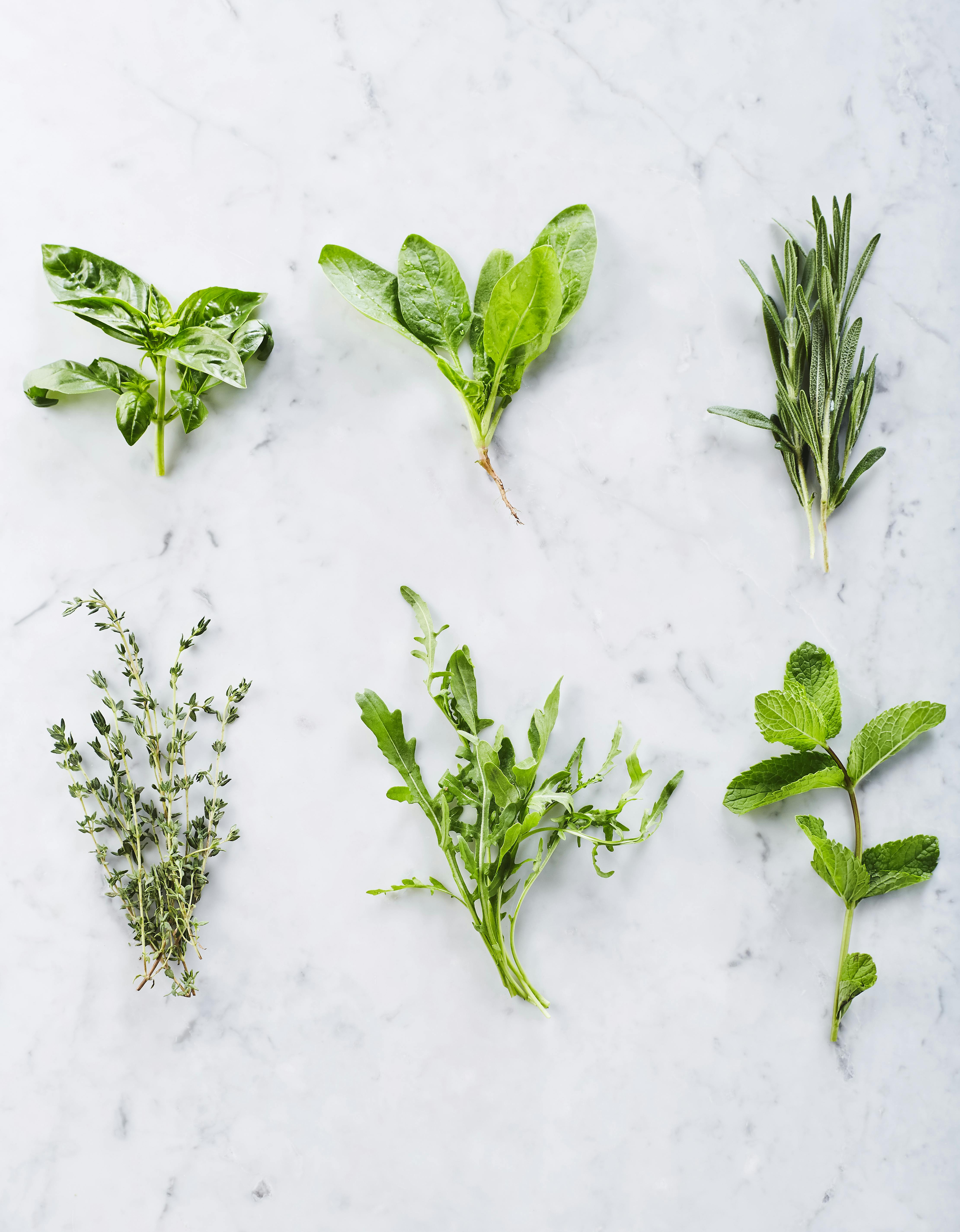 Herbs