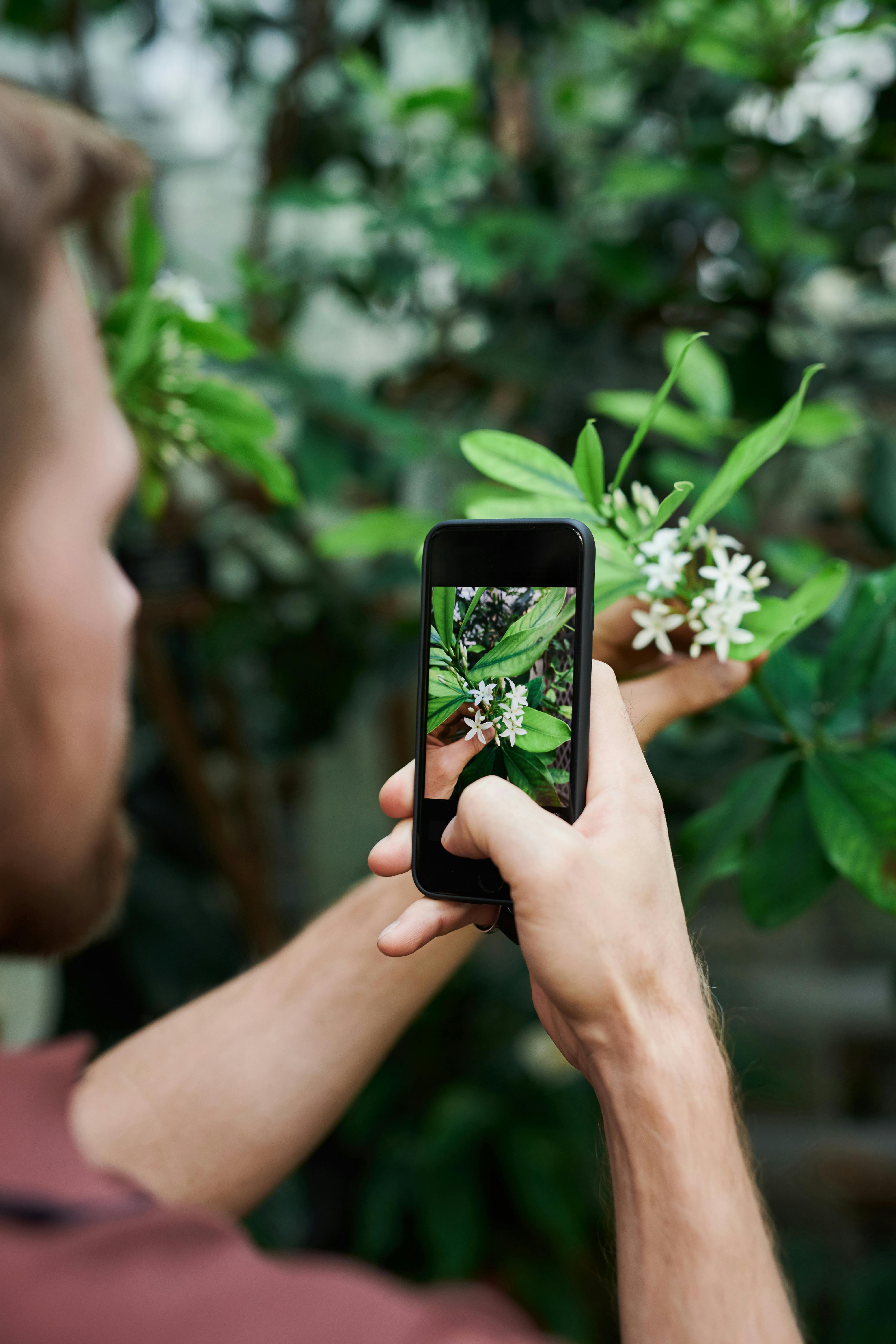 A Photographer