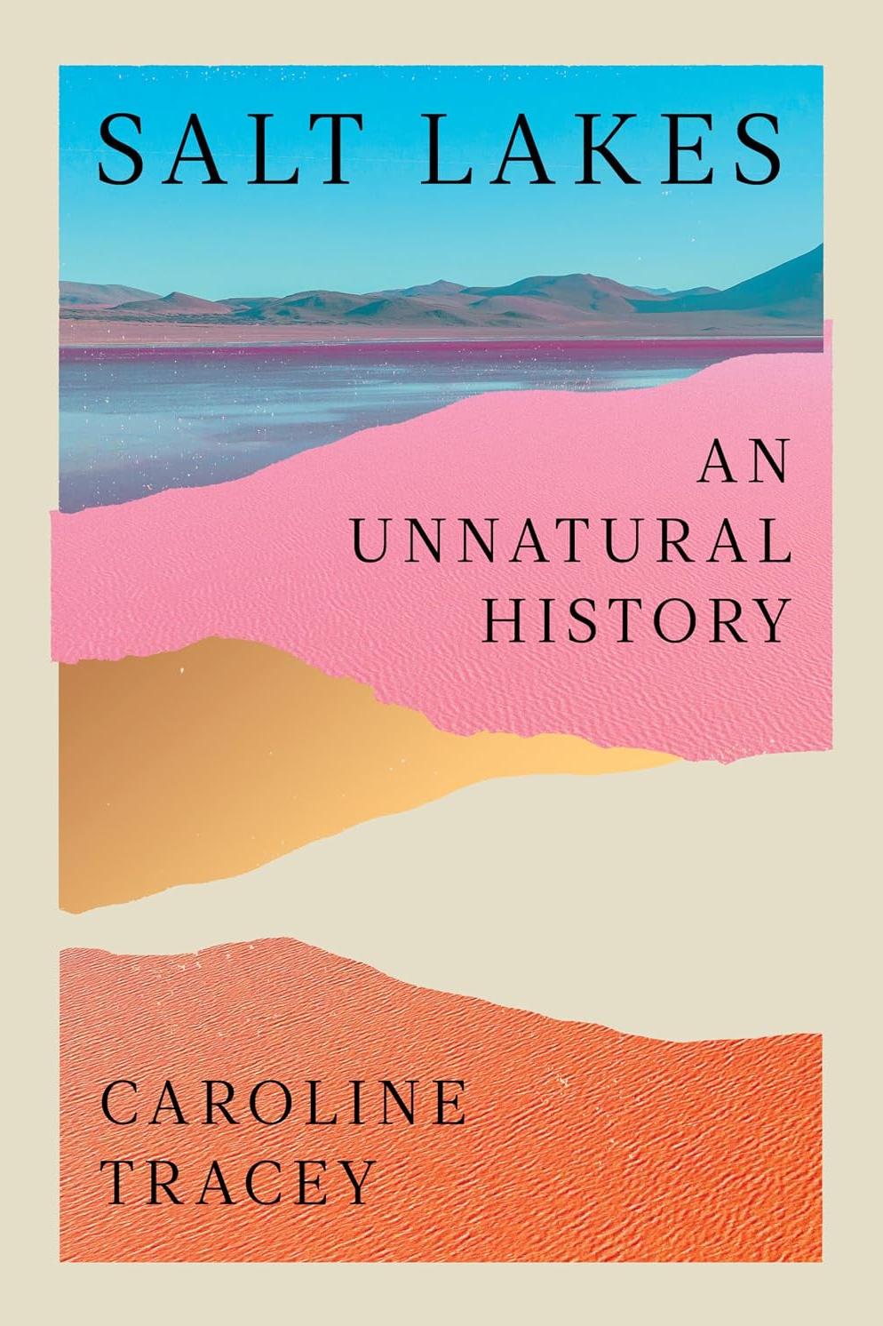 Book Cover: Salt Lakes by Caroline Tracey