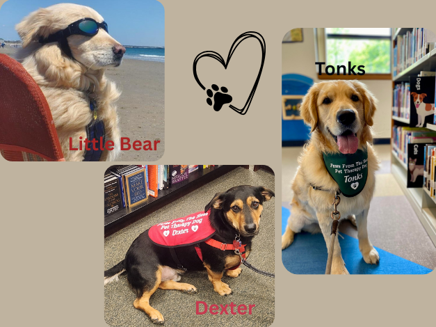 3 Therapy Dogs