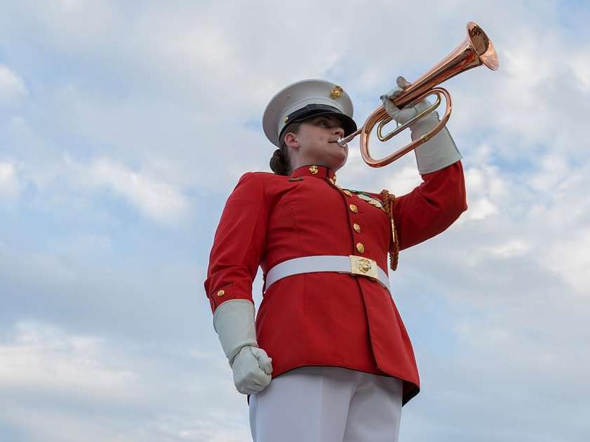 U.S. Marine Corp Drum and Bugle Member