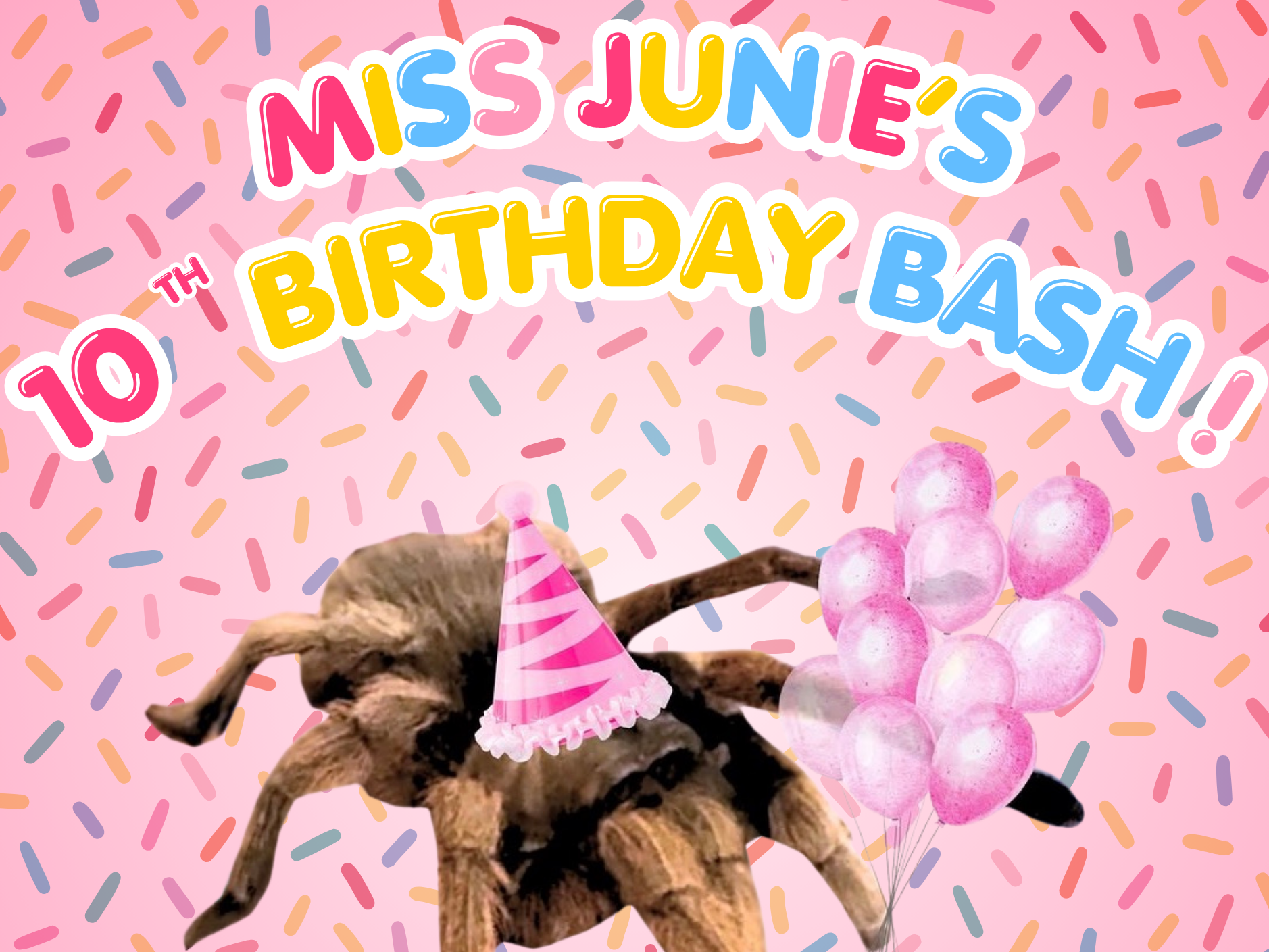 Photo of a Tarantual with a party hat and balloons
