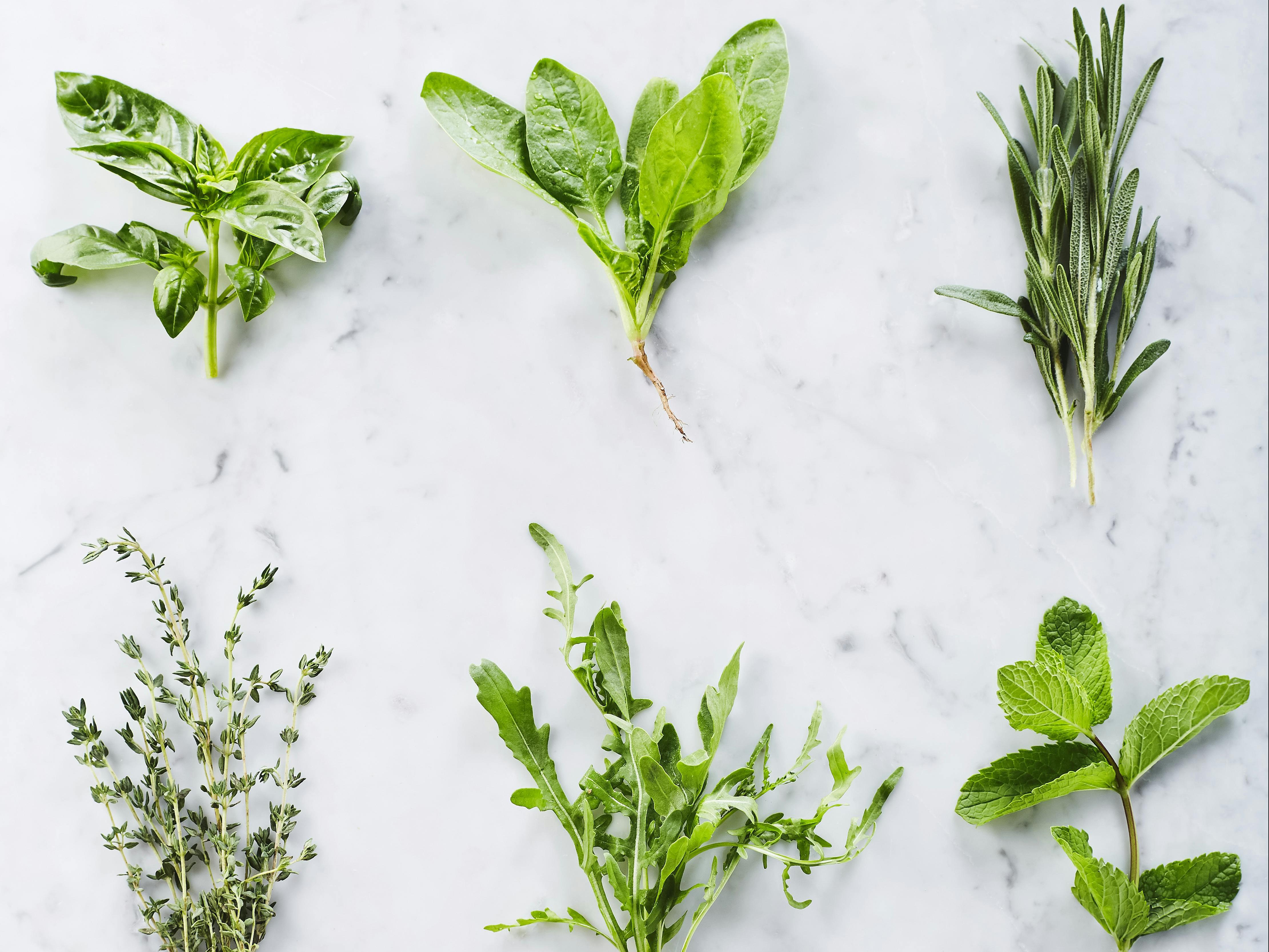Herbs