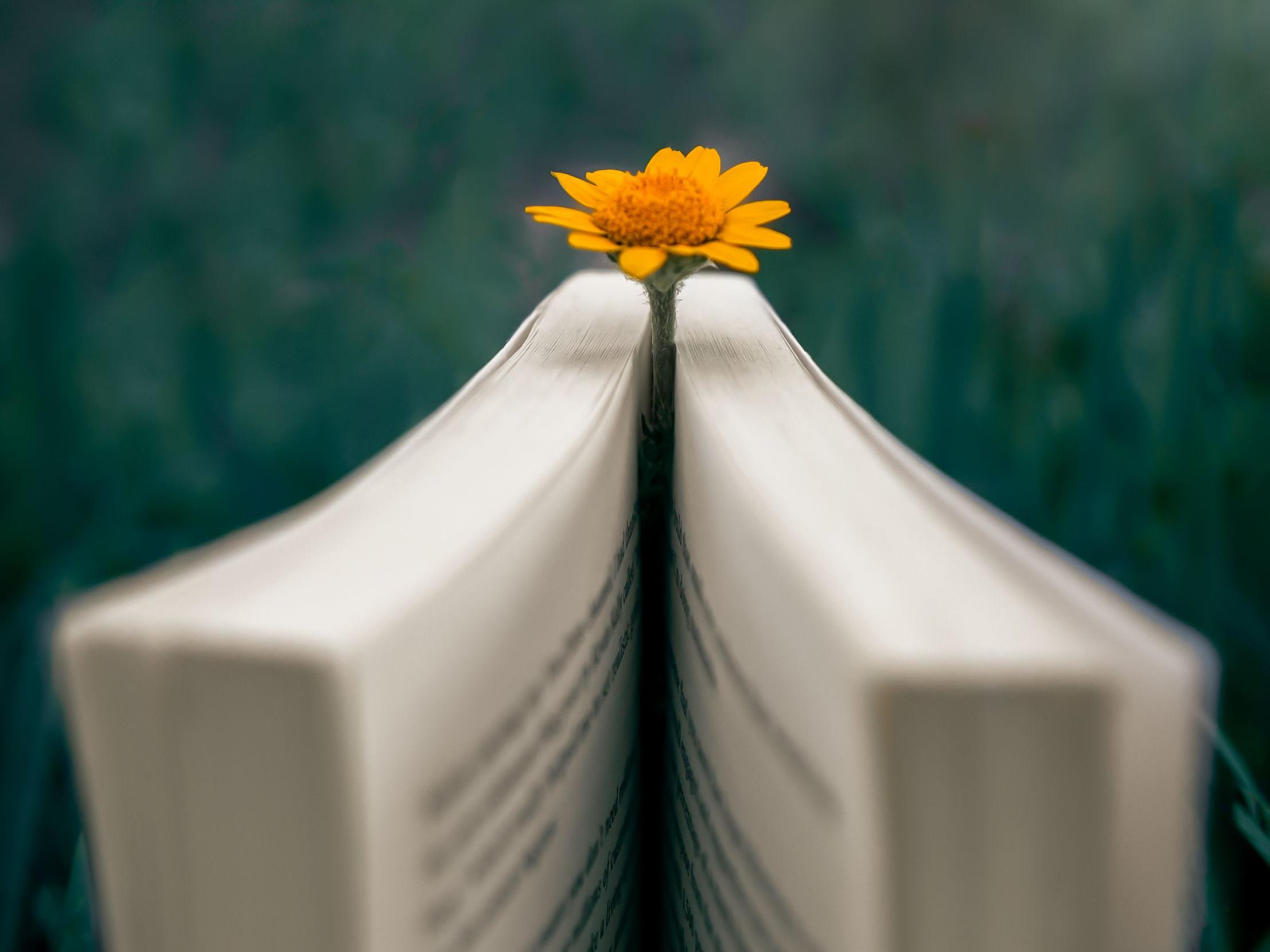 Book and Flower