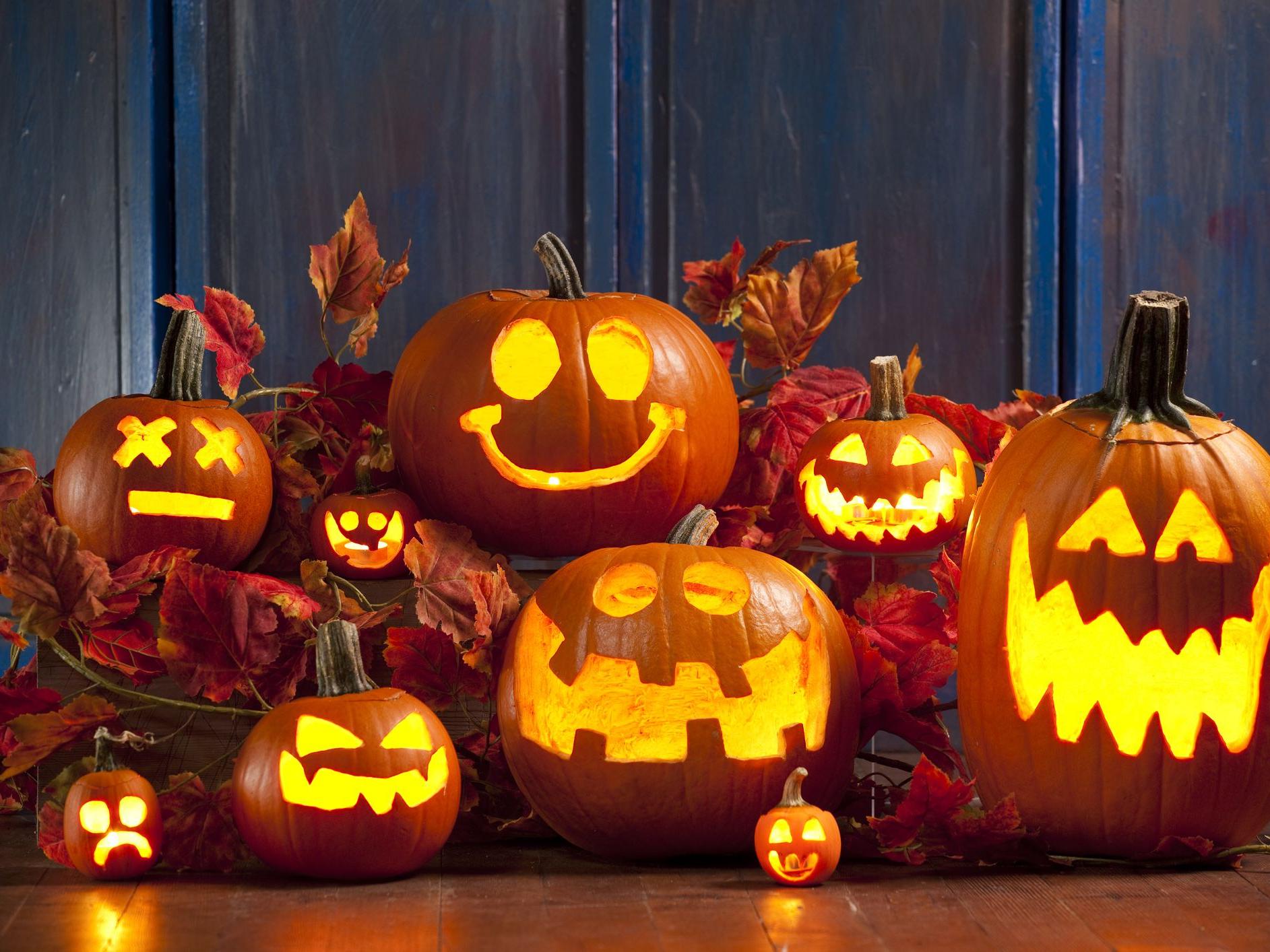 variety of jack o lanterns with lights