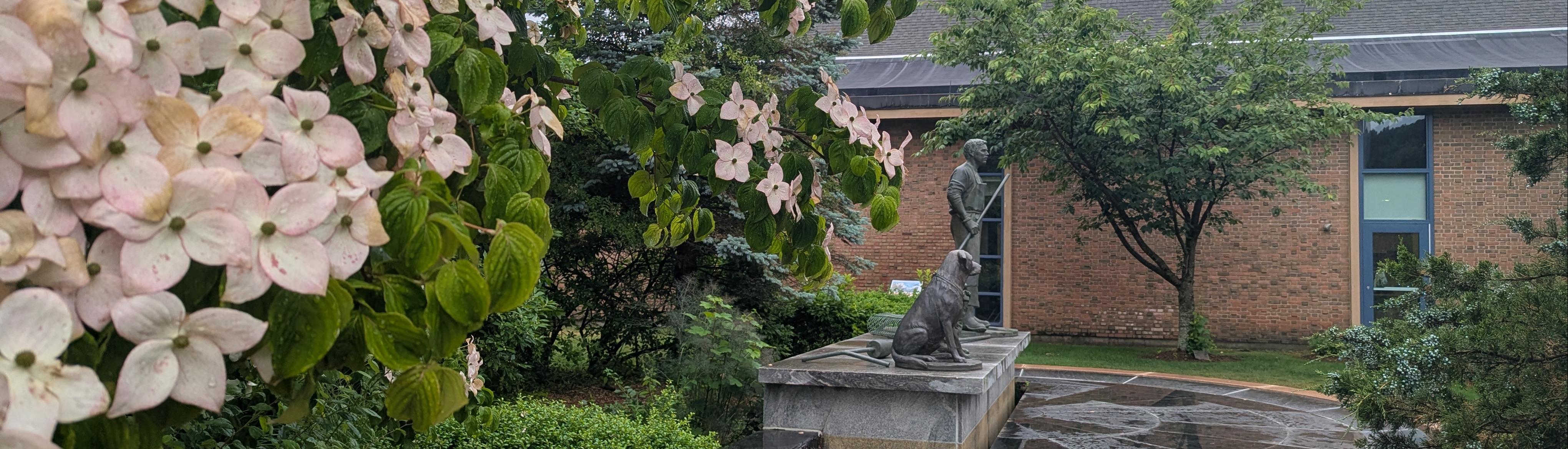 Library Garden